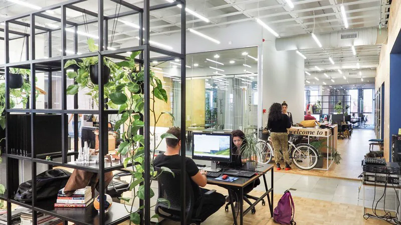 The GSI Labs studio in Kreuzberg, desks behind a planted partition